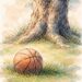 Basketball in front of a walnut tree